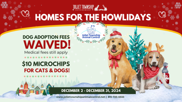 Homes for the Howlidays. Dog Adoption Fees Waived! $10 microchips for cats and dogs! December 2 - December 31, 2024. Image of golden retriever puppy and terrier puppy wearing christmas clothing and standing in front of a festive tree.