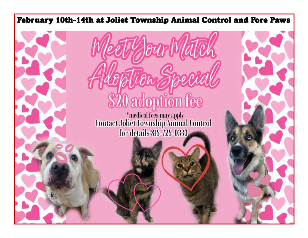 Text reads "Meet Your Match Adoption Special: $20 Adoption Fees. Medical fees may apply. Contact Joliet Township Animal Control.